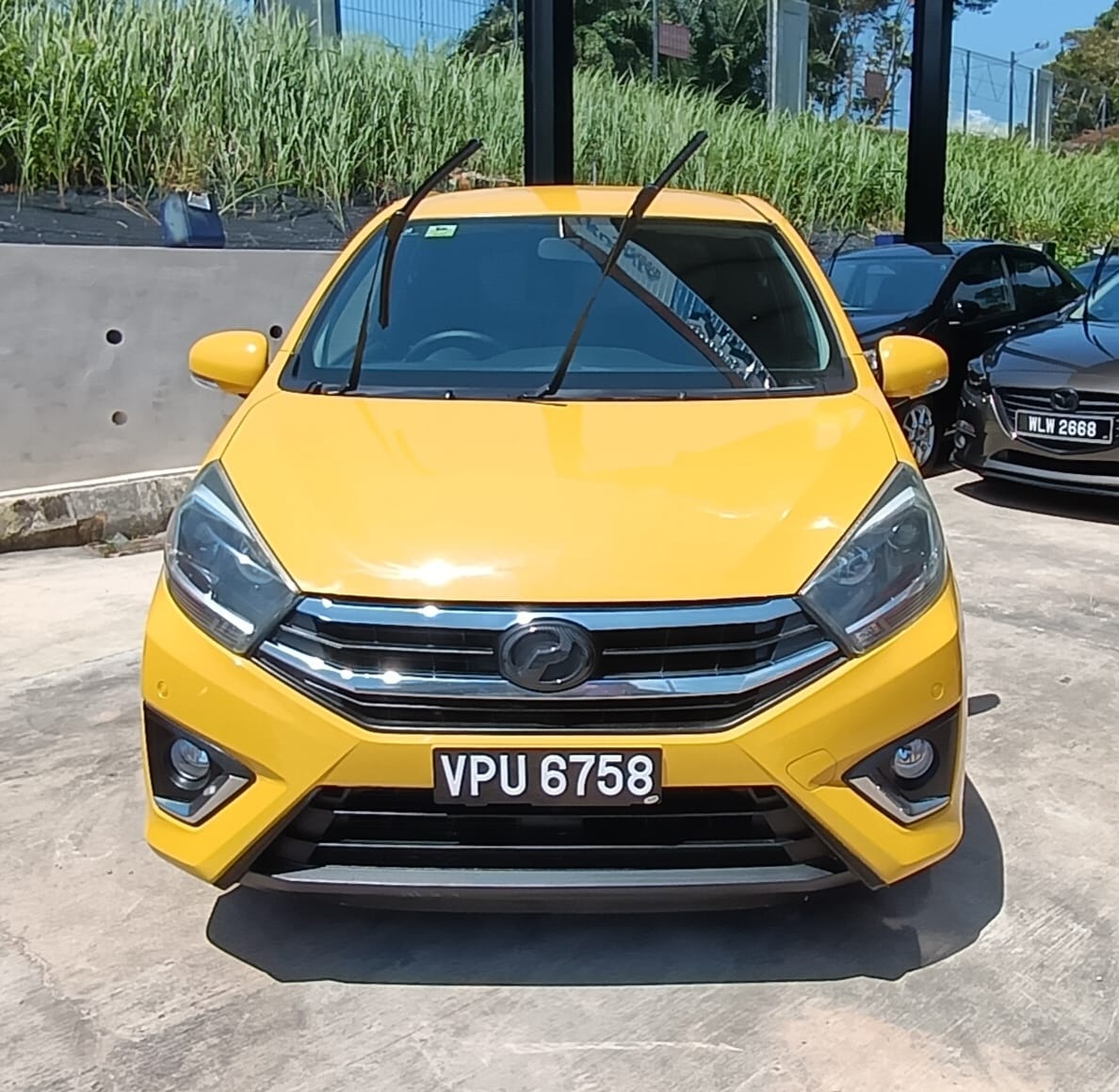 WhatsApp Image 2025-11-05 at 1.38.54 PM