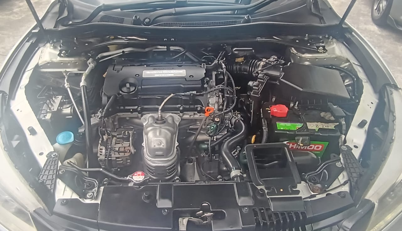 WhatsApp Image 2026-01-21 at 4.31.01 PM (1)