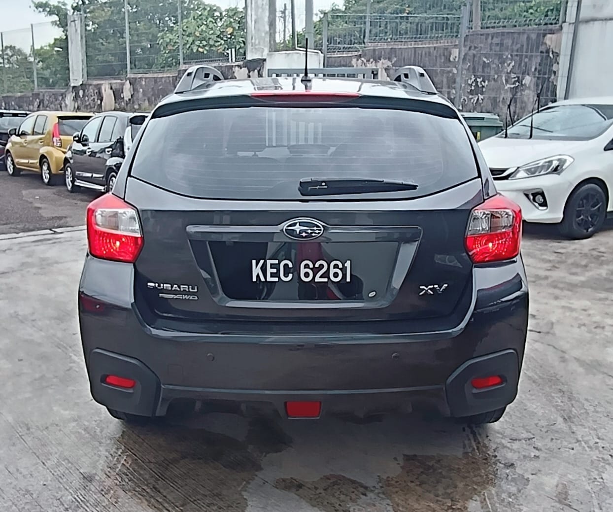 WhatsApp Image 2026-01-29 at 11.19.26 AM